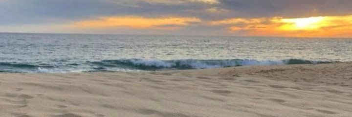 Imbabymango's profile banner image