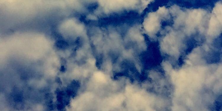 bambrown's profile banner image