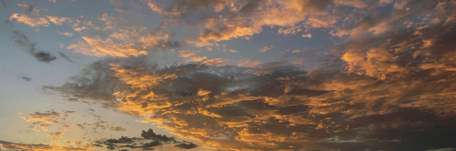 D3eis's profile banner image