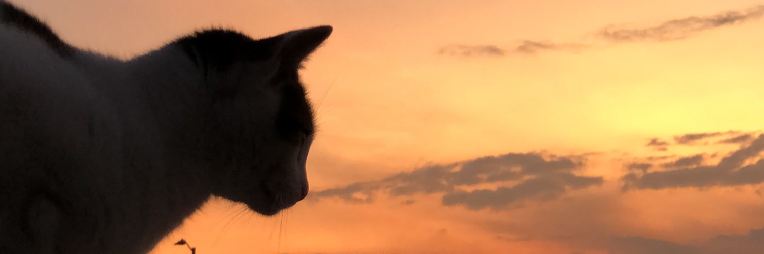 IsabellaaPrieto's profile banner image