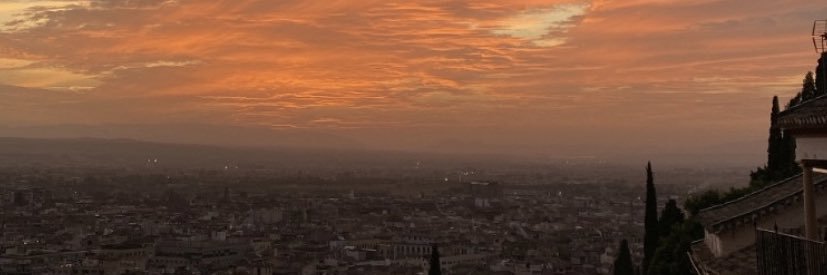 _daniolias's profile banner image