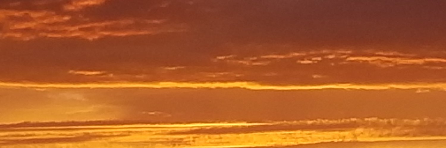Joditheauthor's profile banner image