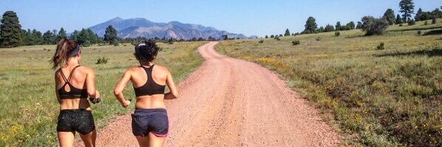 Amy Van Alstine banner