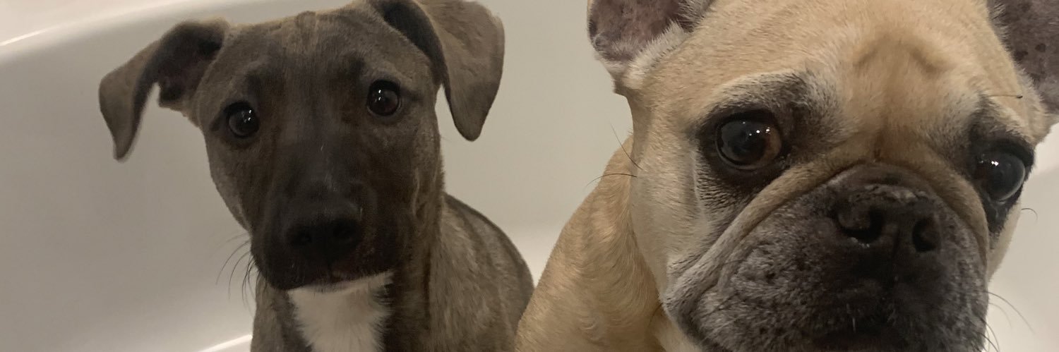 monkeysrfun's profile banner image