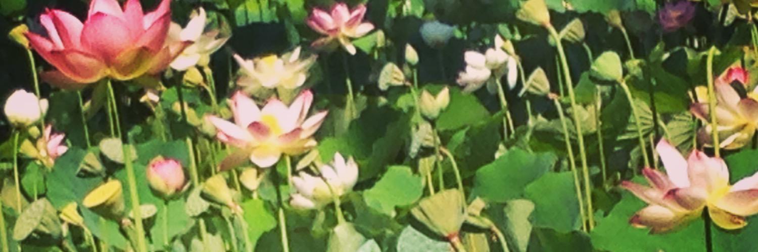 MrGrinth banner