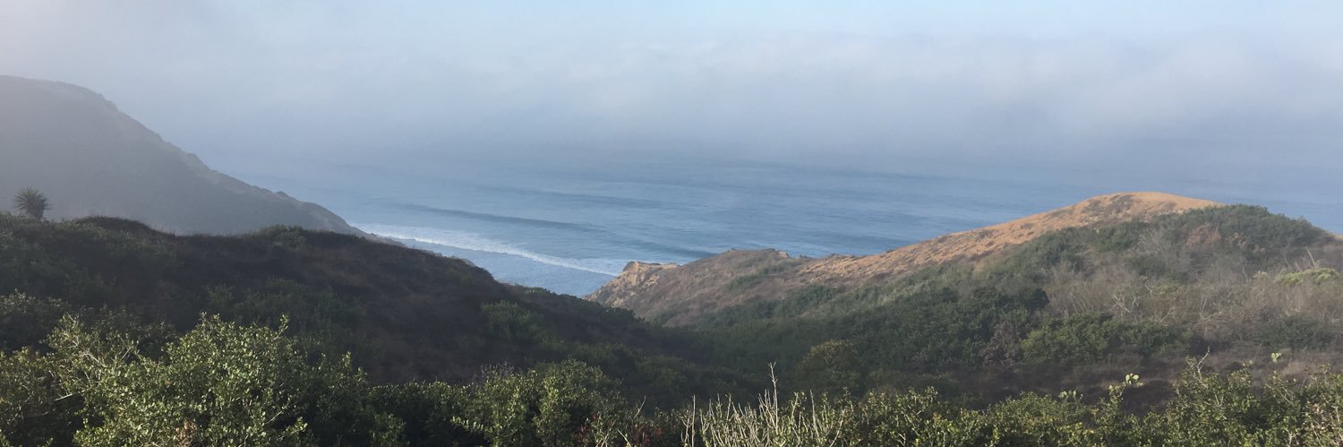 Mark Patterson banner