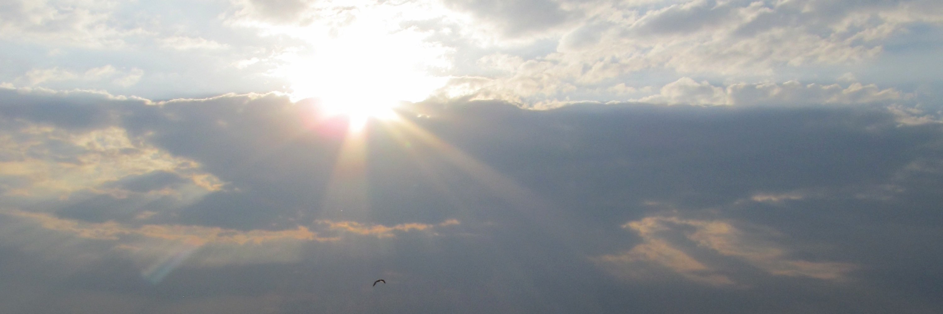MeganStokerRN's profile banner image