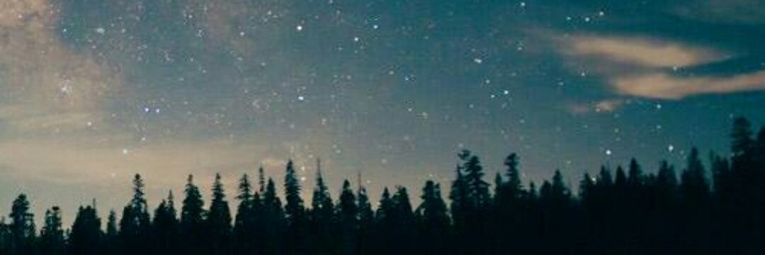 nazsalli's profile banner image