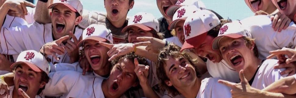 New Palestine Baseball banner