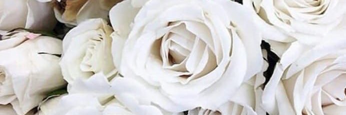 ~ banner