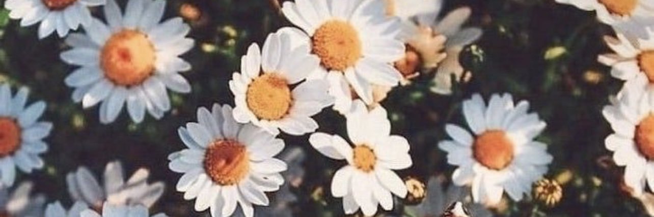 allisonfranco09's profile banner image