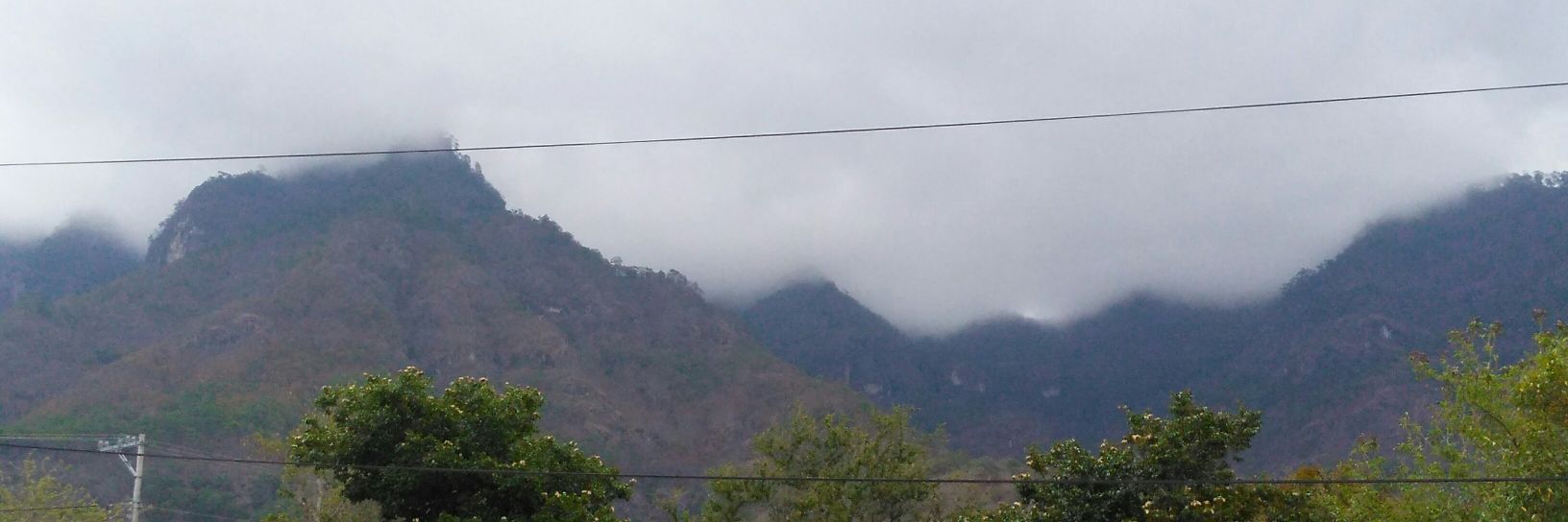 Gonzalo Jarquin banner