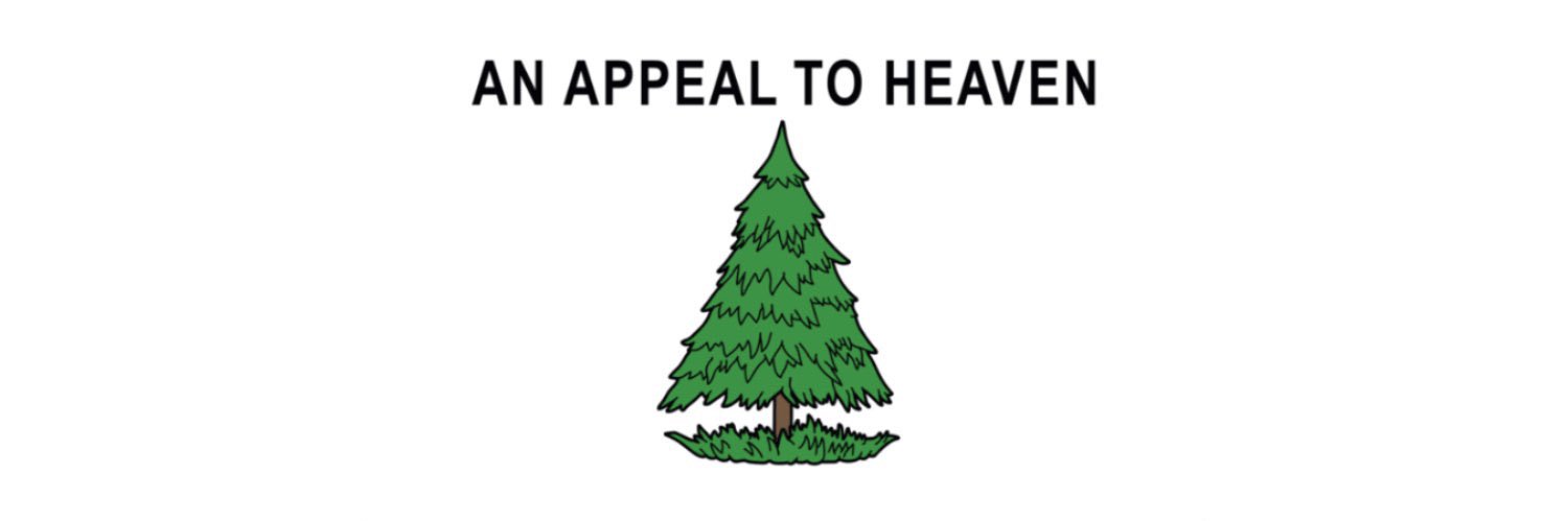 Captain Chaos banner