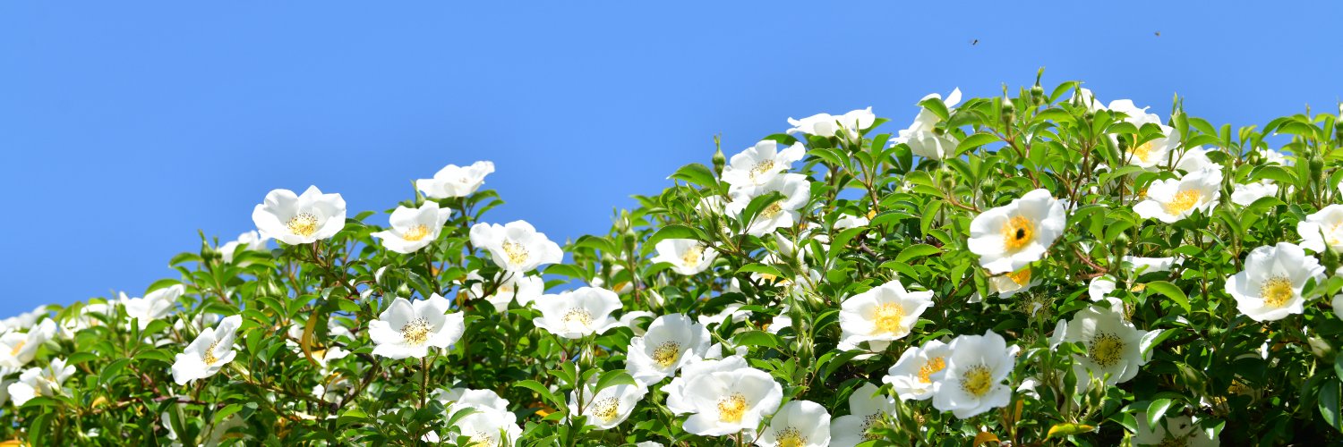 1602ky's profile banner image