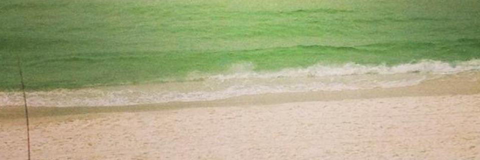 Nancy Parsley banner