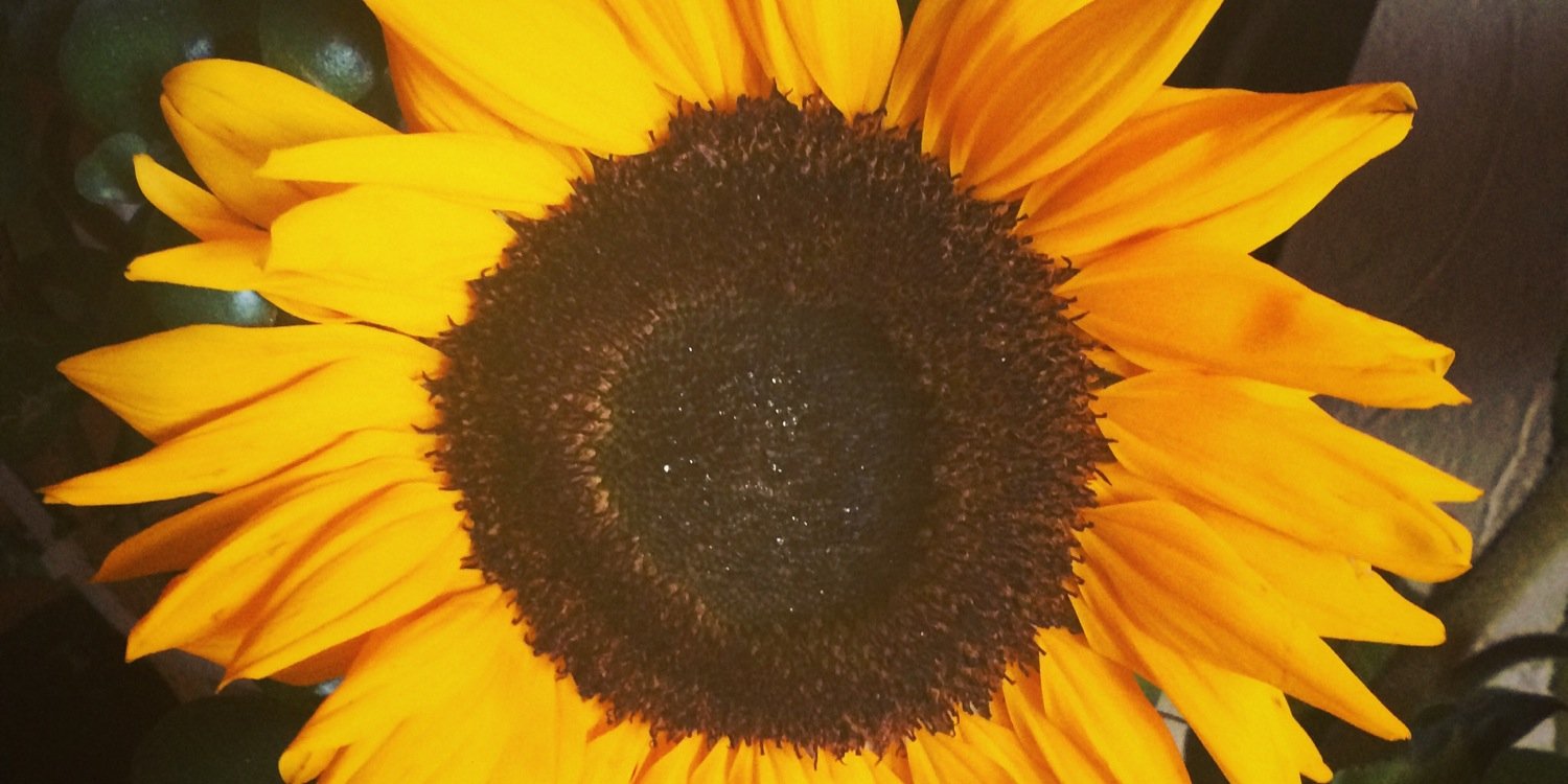 never_shuts_up's profile banner image