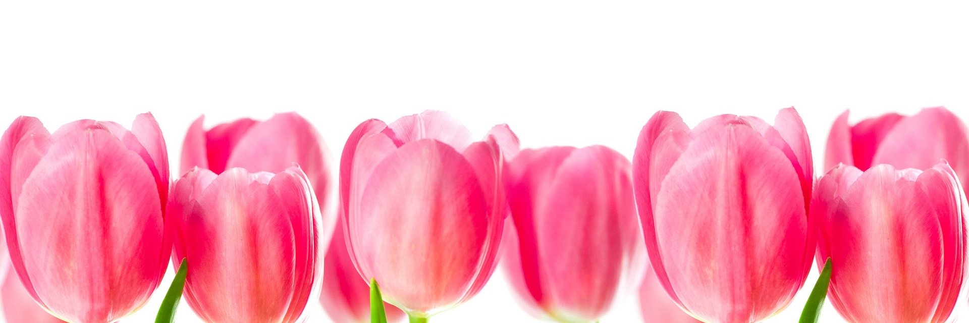 duul_dcsl's profile banner image