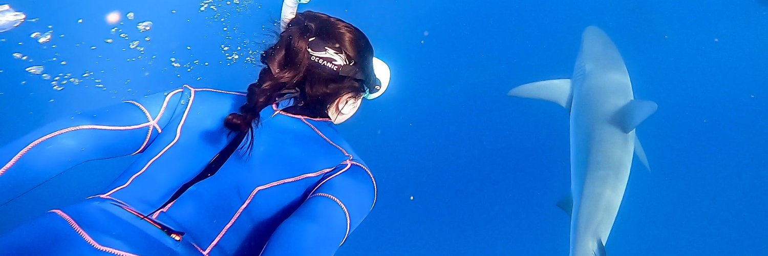 chel_meier's profile banner image