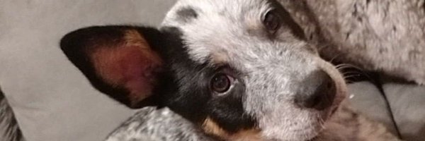 caseym20 Profile Banner