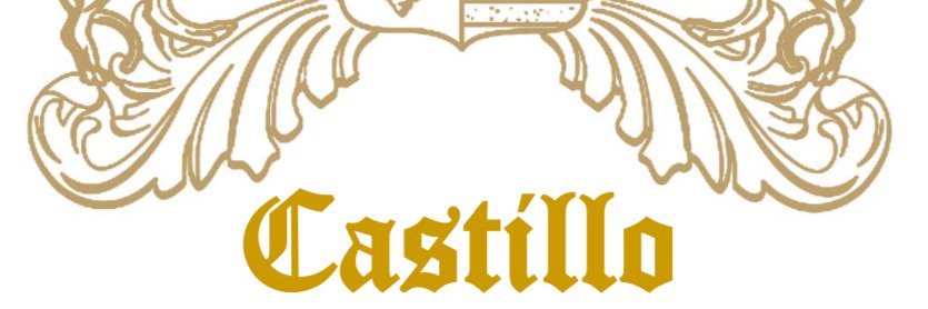 luis Gerardo castillo banner