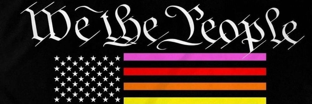 save_the_US_now's profile banner image