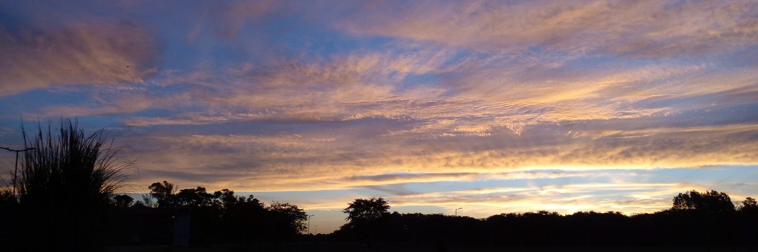 enzomansur's profile banner image