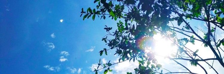 _kaaymichx's profile banner image