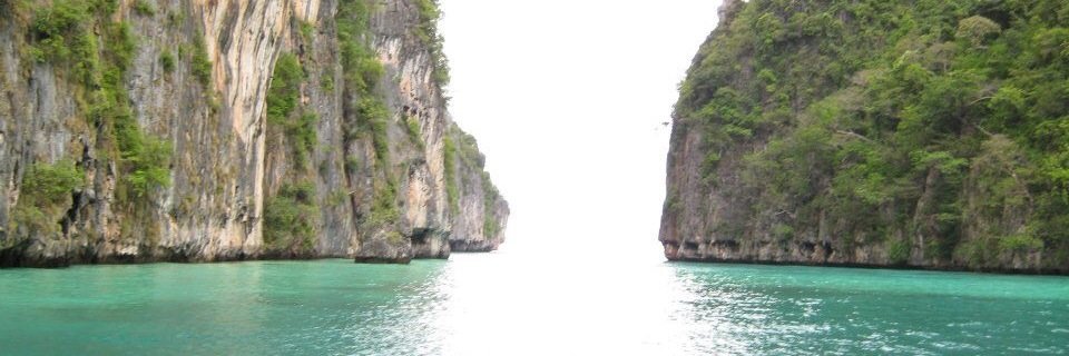teagan_b's profile banner image