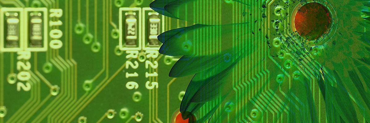 davidmultimedia's profile banner image
