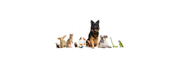 PetsWorldMag Profile Banner
