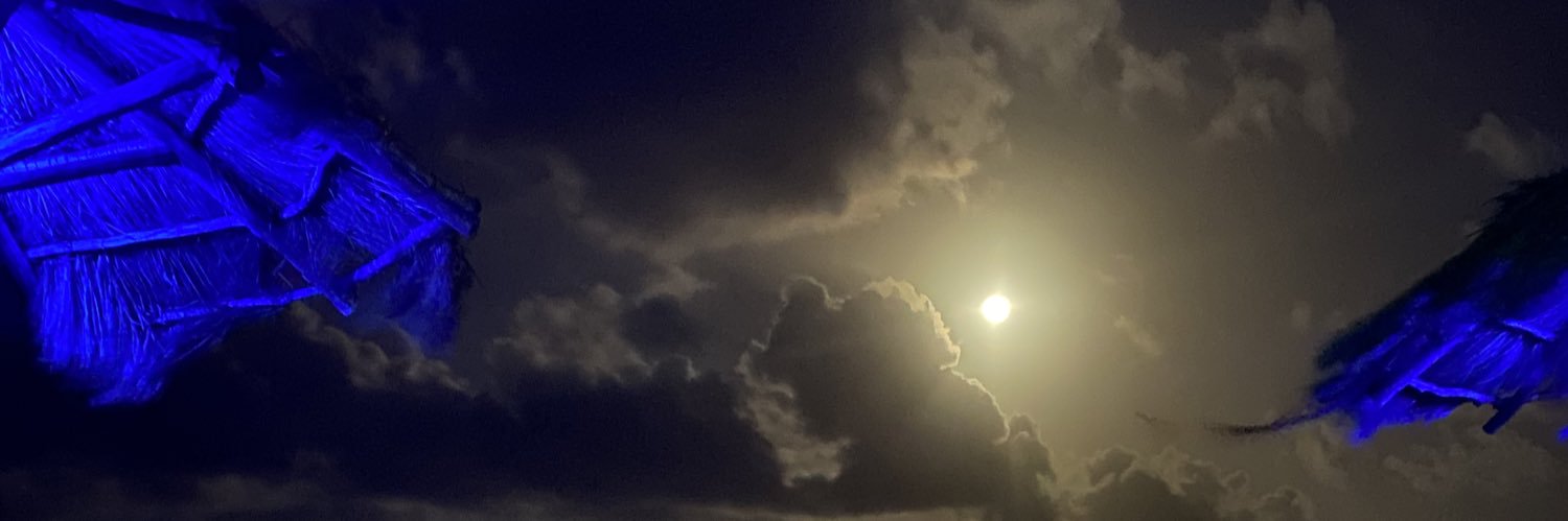 Costel Bostan banner