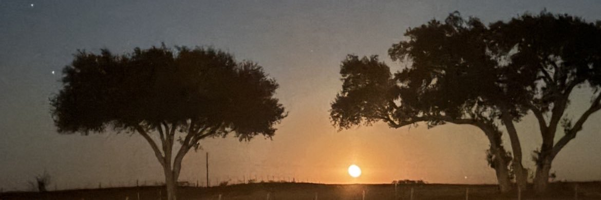 hvw99's profile banner image