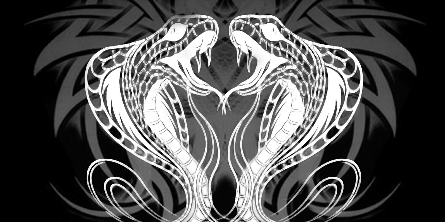 KCOBRASOUND's profile banner image
