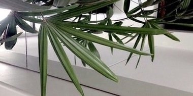 AClareLCRP's profile banner image
