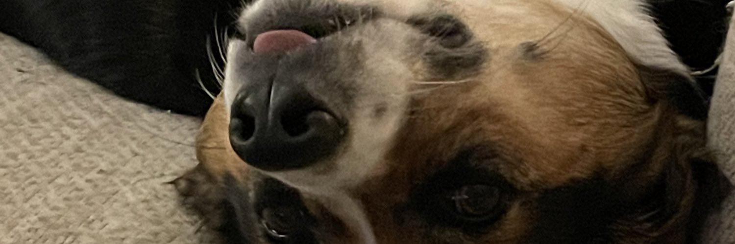 ralzajohnson's profile banner image