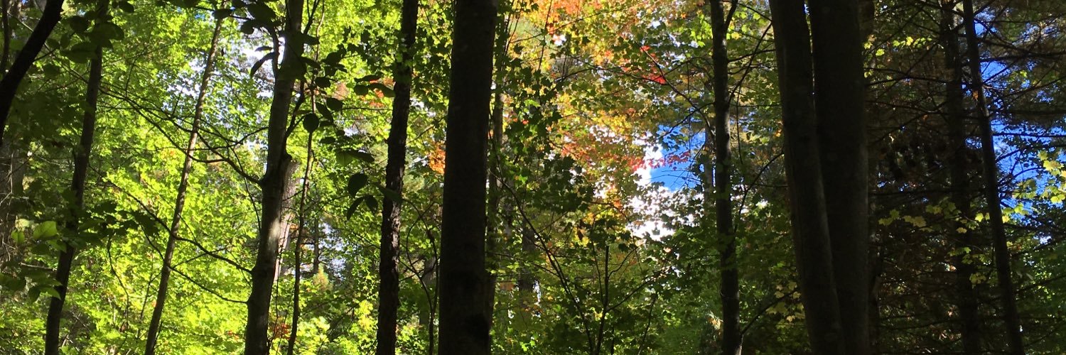 RobinMarwick's profile banner image