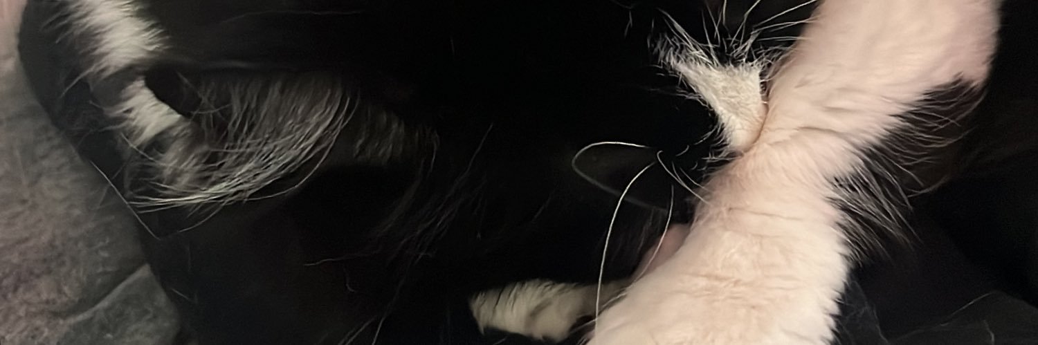 Jack banner