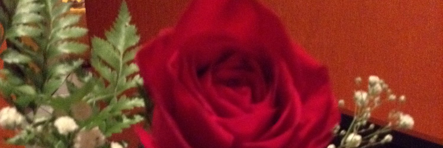 mariajorn's profile banner image