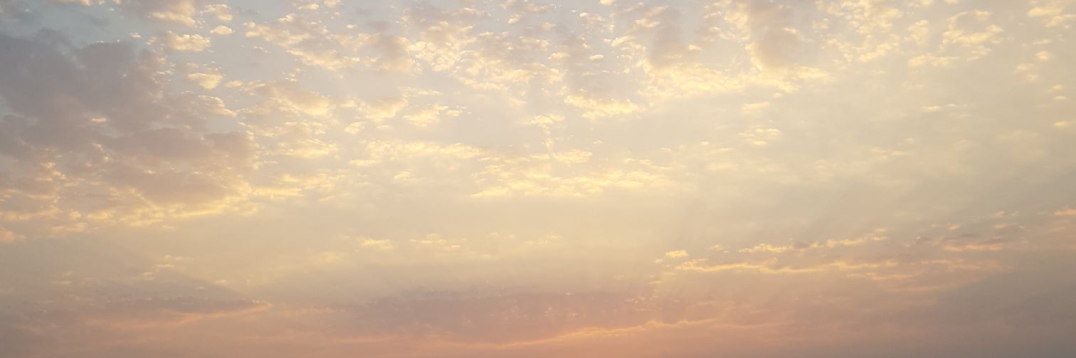 metild87's profile banner image