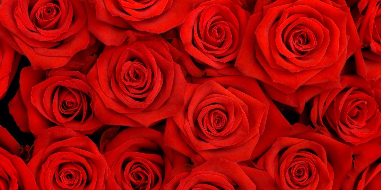 _ashloveexo's profile banner image