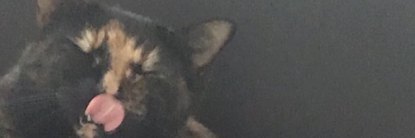 emilystephen123's profile banner image