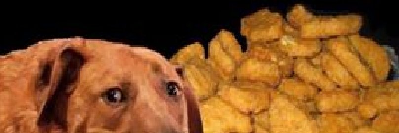 FilipFrusek's profile banner image