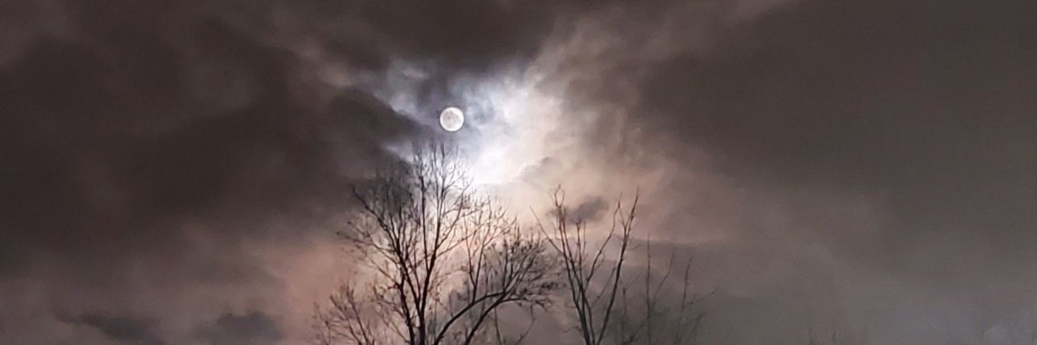 loriejsurface's profile banner image