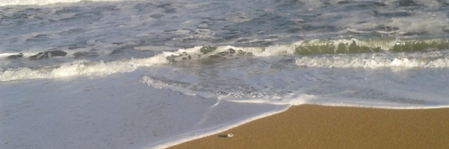 GAFreelancer's profile banner image