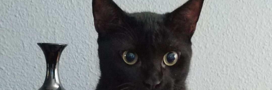 MarySoooul's profile banner image