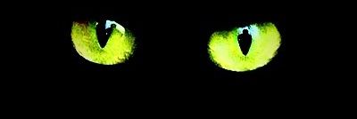 alroman69's profile banner image