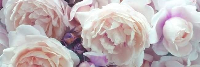 Karyschka's profile banner image