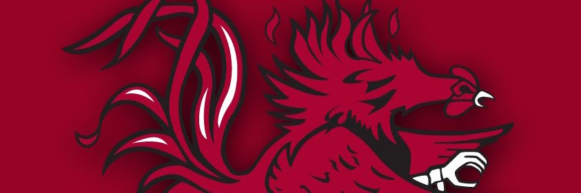 GamecockBill's profile banner image