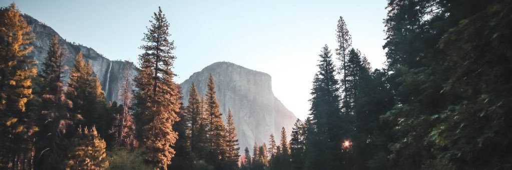 sampbarrett1's profile banner image