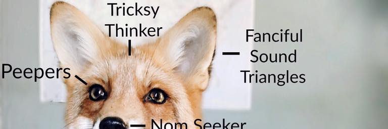 corgoCHEESE's profile banner image